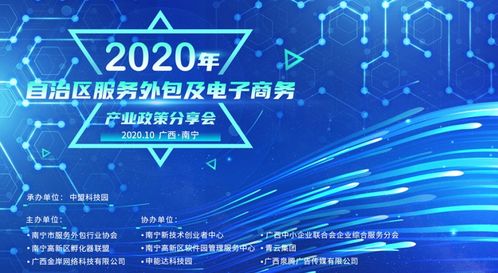 2020年自治區(qū)服務(wù)外包及電子商務(wù)產(chǎn)業(yè)政策分享會圓滿召開 聚焦電子商務(wù)服務(wù)新機遇